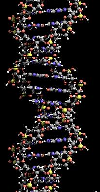 DNA