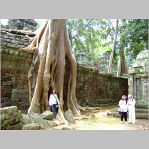 Cam-2D-189TaProhm.jpg