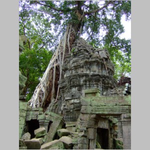 Cam-2D-200TaProhm.jpg