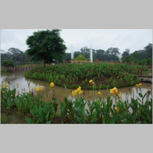 Botanic-09.jpg