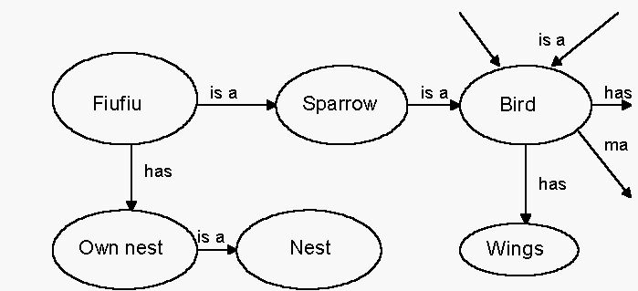 Sem-net.jpg (27808 bytes)